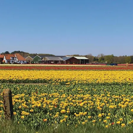 Meerparel - Havenlodge Amstel Uitgeest